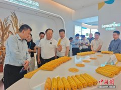 海南封关看变化：港澳台侨